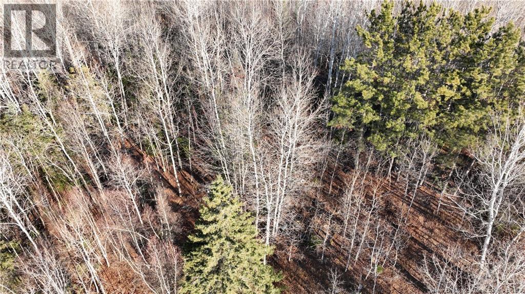 3350 Sqm Hwy 430, Chaplin Island Road, NB