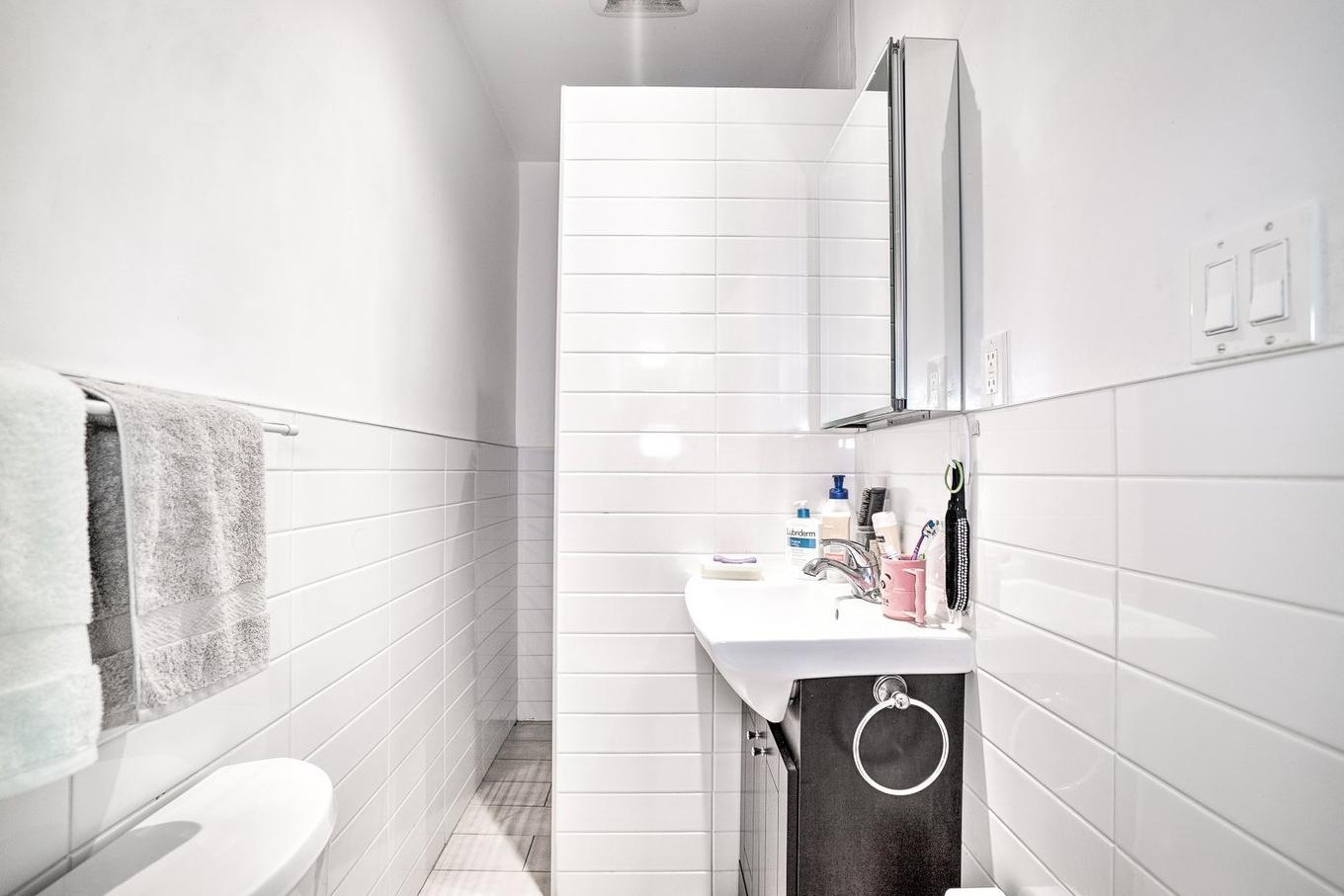 Bathroom - 5436 14E Avenue, Montréal (Rosemont/La Petite-Patrie), QC - Indoor Photo Showing Bathroom