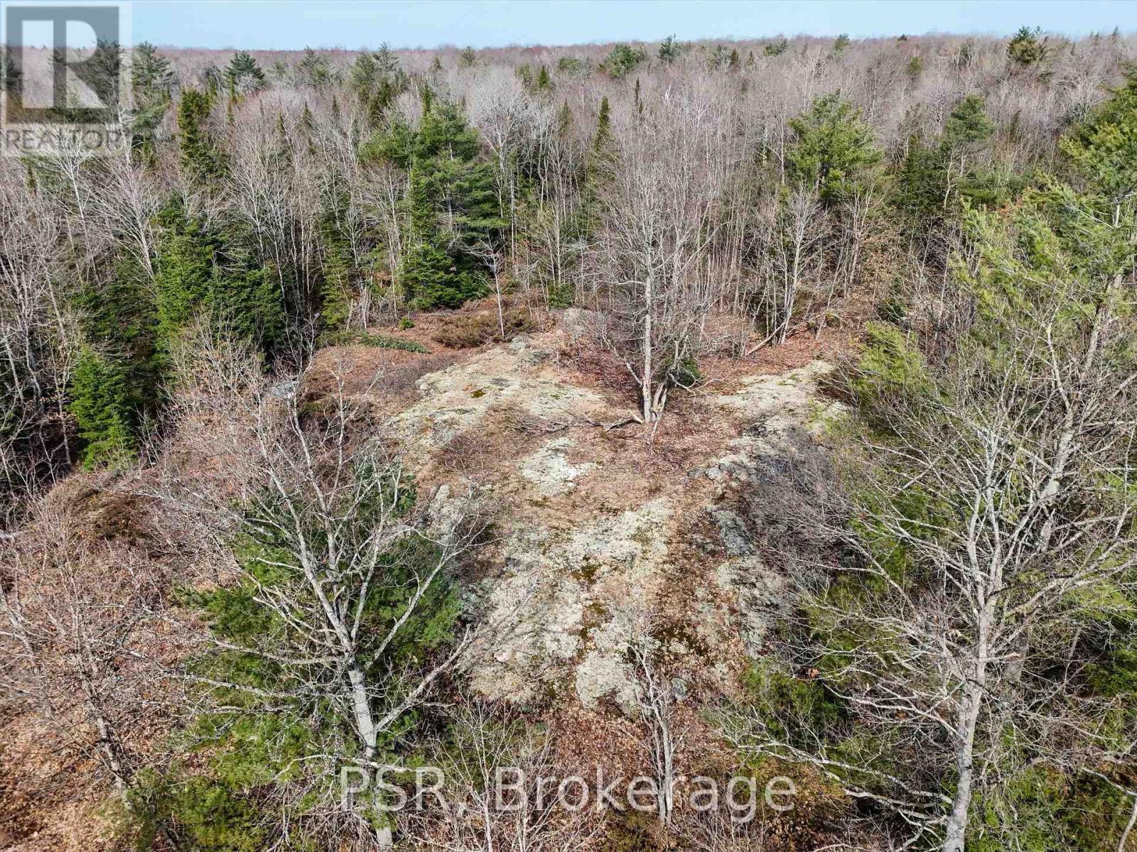 3410 Southwood Road, Gravenhurst (Wood (Gravenhurst)), ON