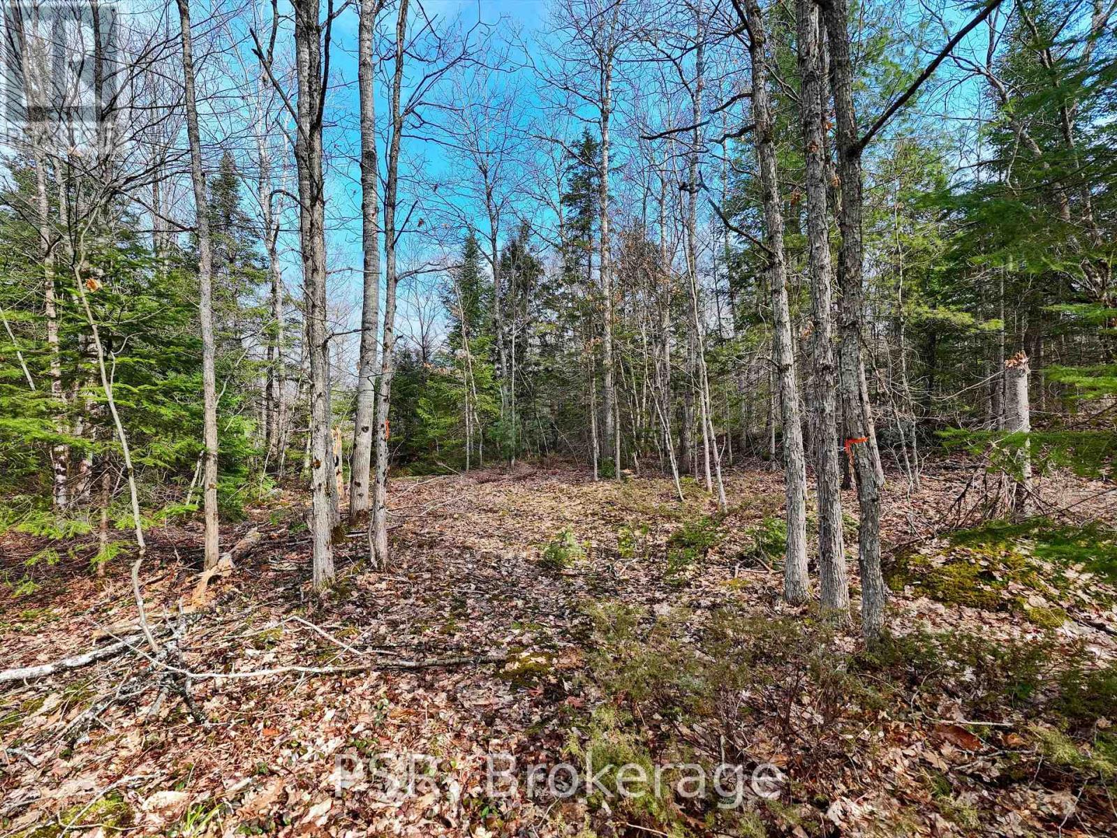 3410 Southwood Road, Gravenhurst (Wood (Gravenhurst)), ON