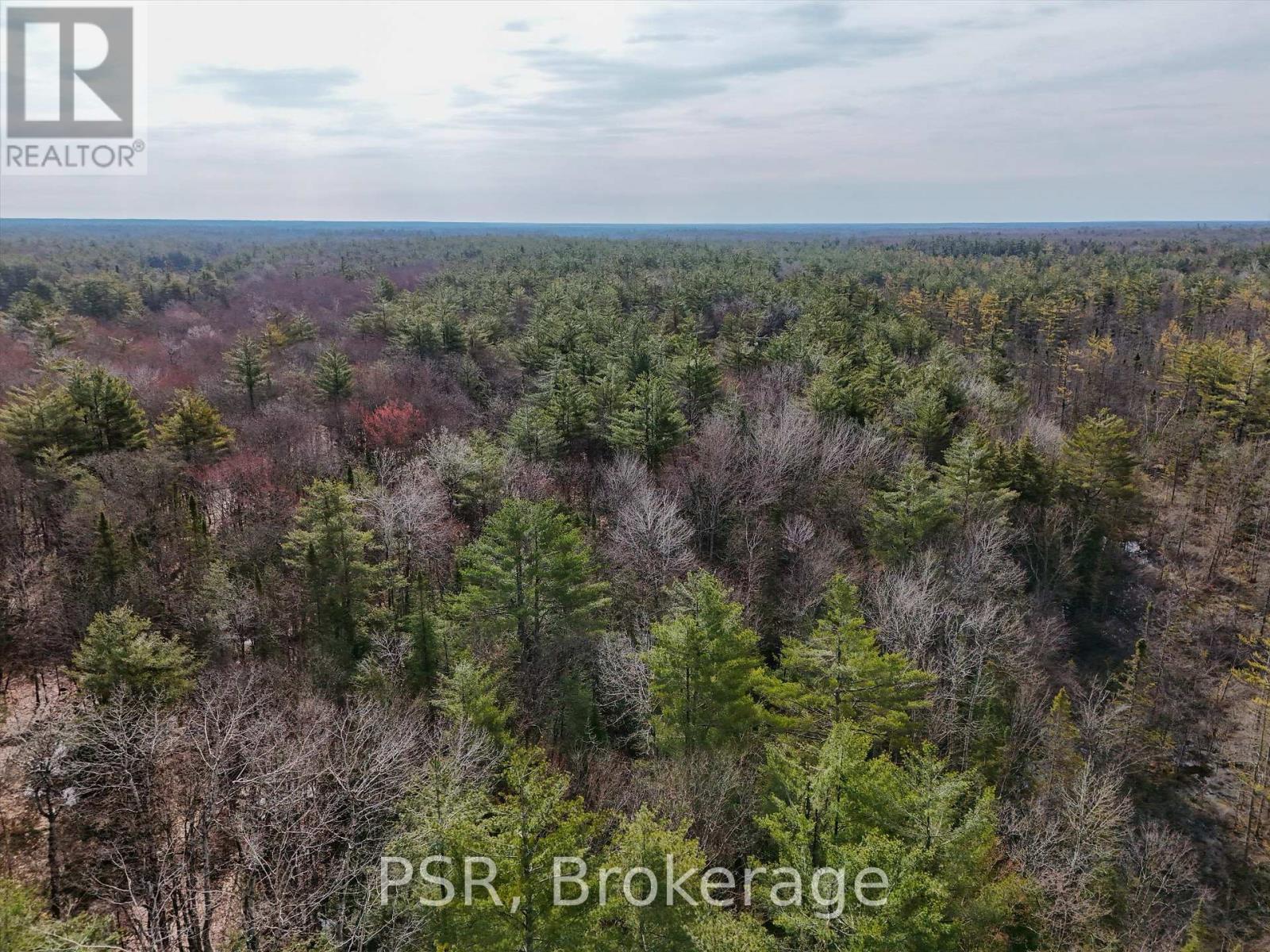 3410 Southwood Road, Gravenhurst (Wood (Gravenhurst)), ON