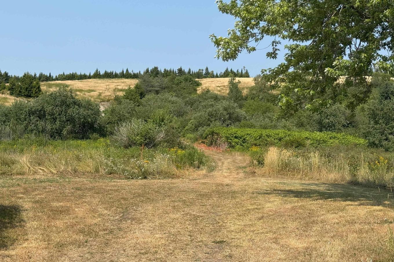 10217 Highway 209, Diligent River, NS