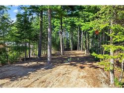 lot 17-1 des pins ST Aldouane, NB E4W 5C1