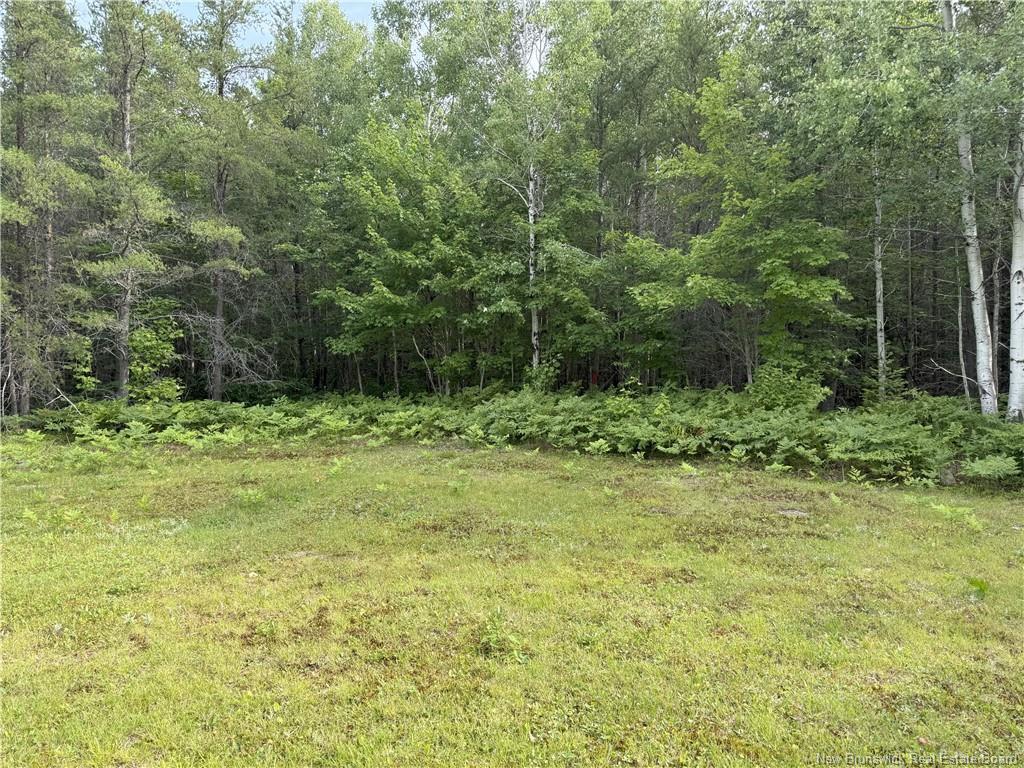 Lot 86.1 South Tomogonops Cluster, Northesk, NB