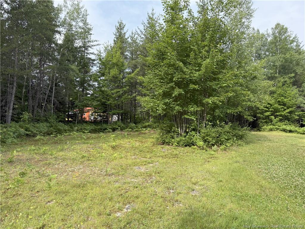 Lot 86.1 South Tomogonops Cluster, Northesk, NB