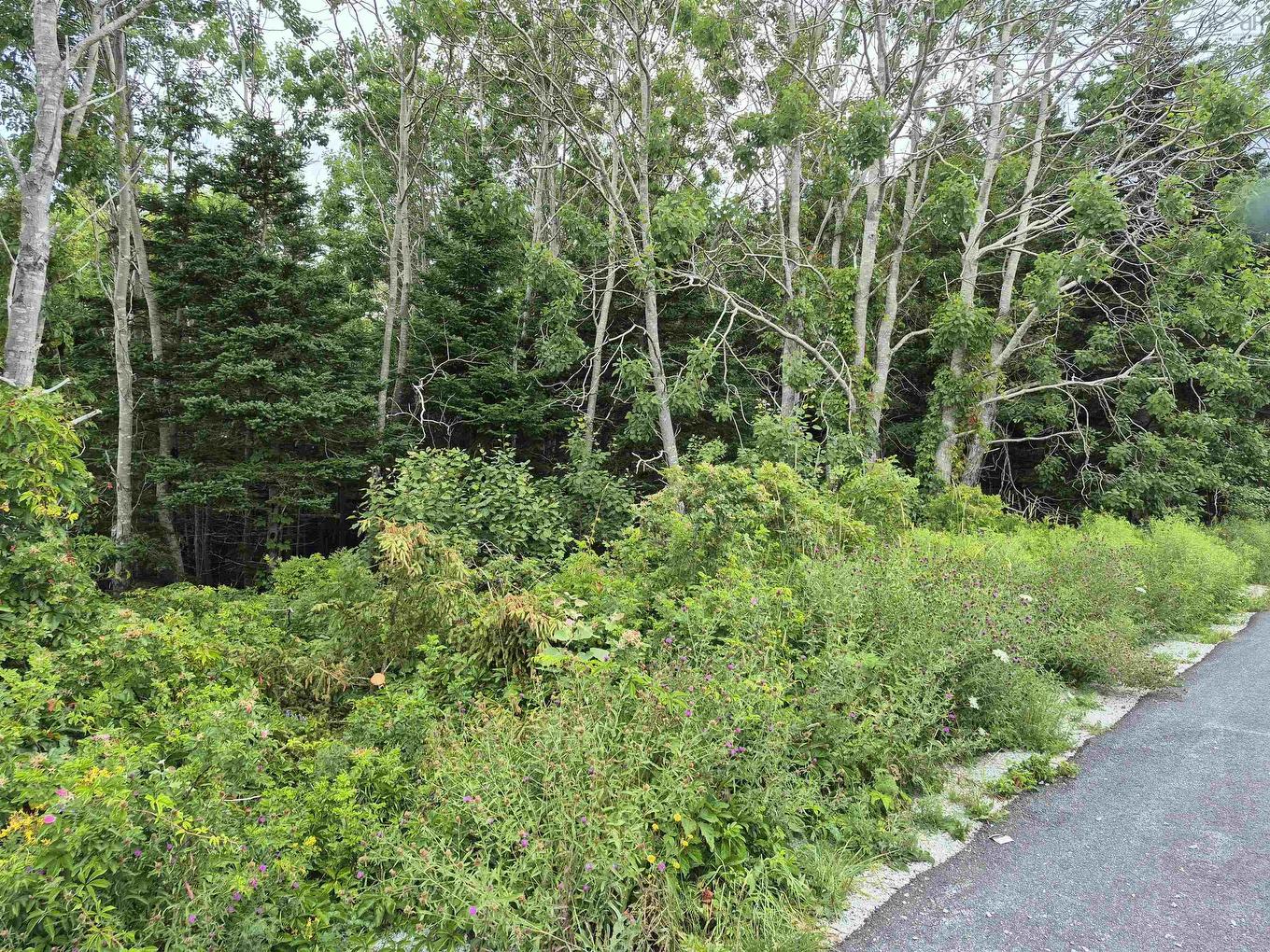 36 Goose View Drive, East Port L'Hebert, NS