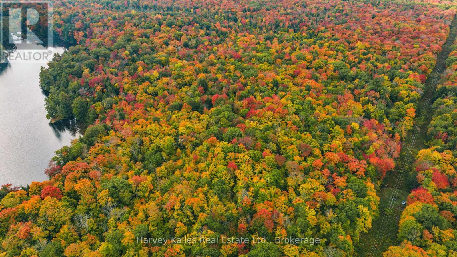 0 Windermere Road, Muskoka Lakes (Watt), ON