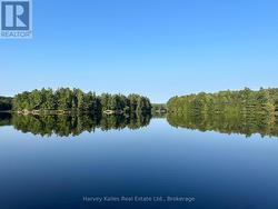 Serenely Quiet Bay on Camel Lake near Windermere -