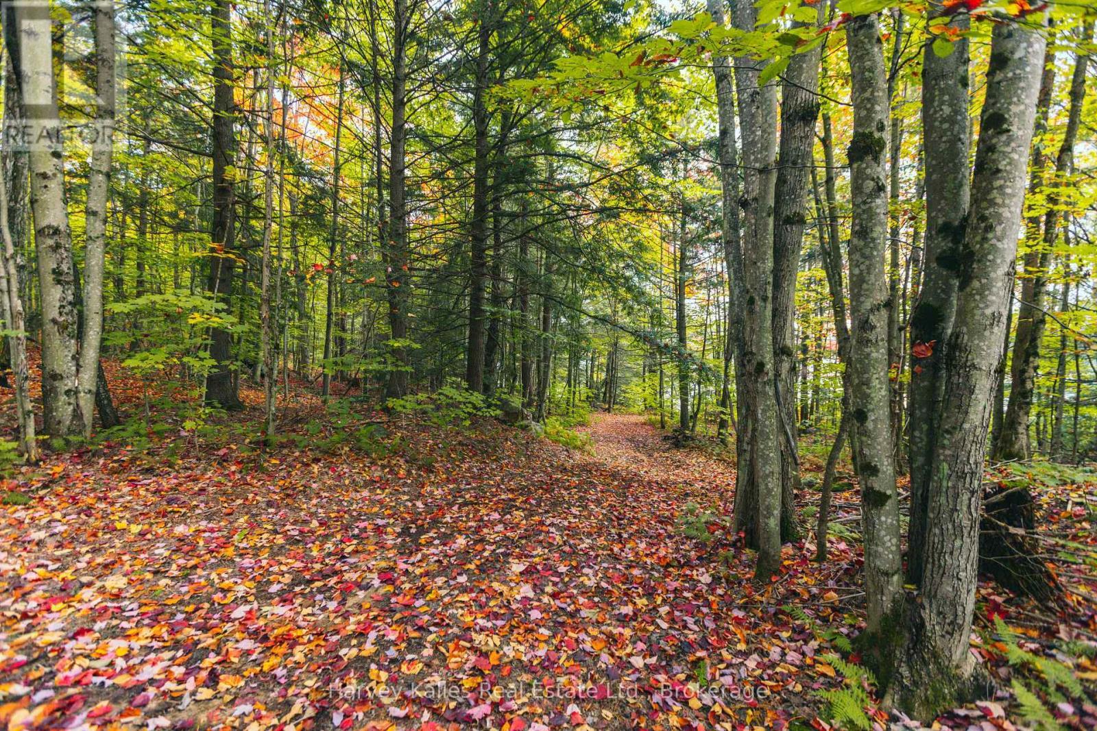 0 Windermere Road, Muskoka Lakes (Watt), ON