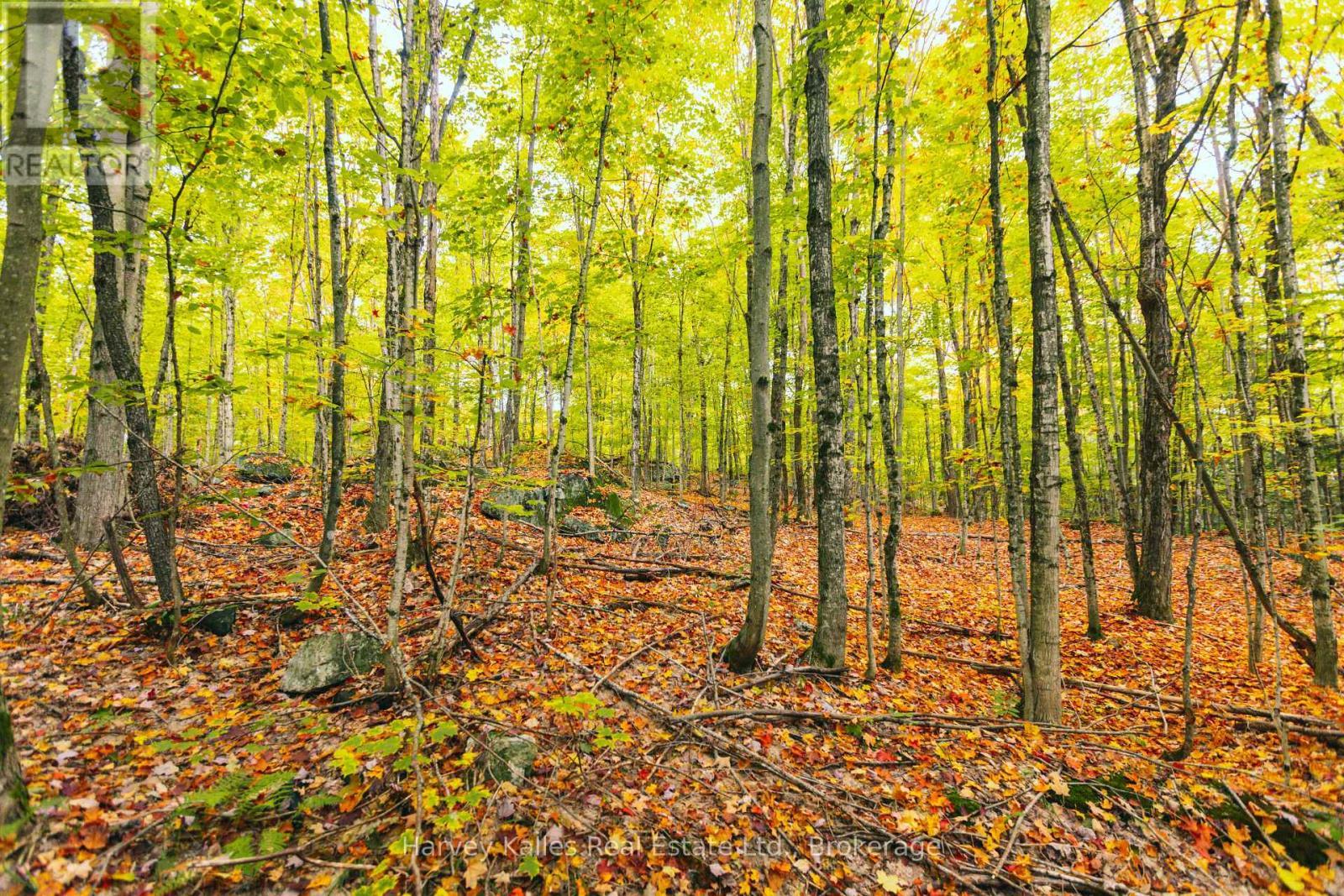 0 Windermere Road, Muskoka Lakes (Watt), ON