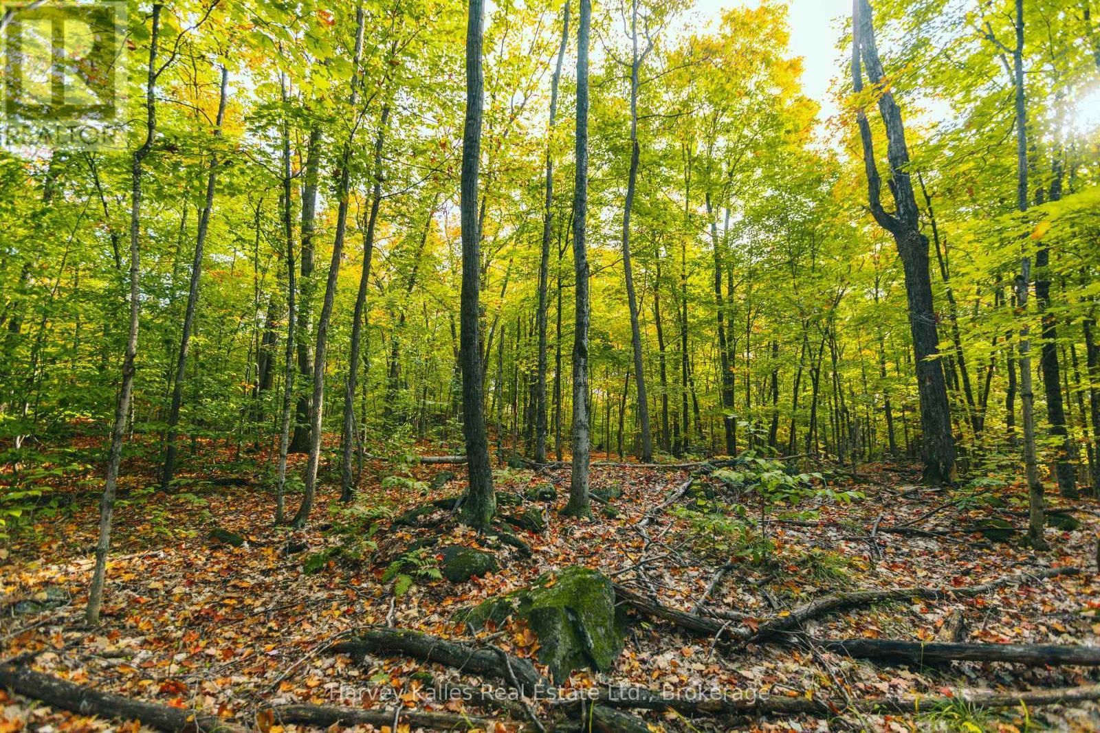 0 Windermere Road, Muskoka Lakes (Watt), ON