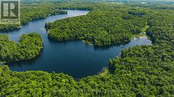 1st offering since 1948 -