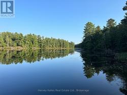 Virtually no docks or cottages in view -