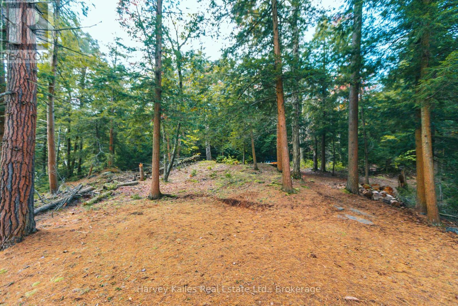 Gentle topography - 0 Windermere Road, Muskoka Lakes (Watt), ON