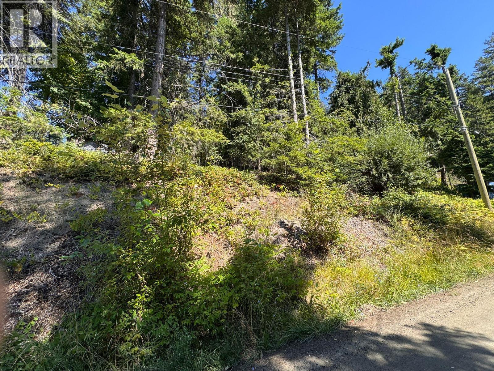 Lonneke Trail Lot# 52, Anglemont, BC