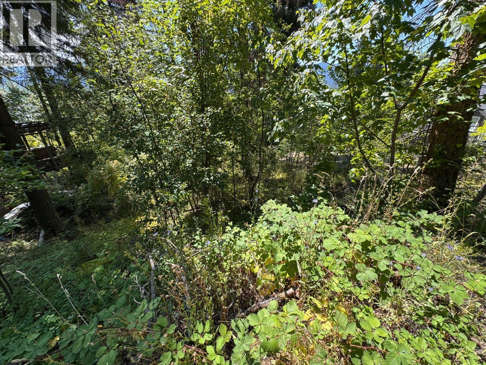 Lonneke Trail Lot# 52, Anglemont, BC
