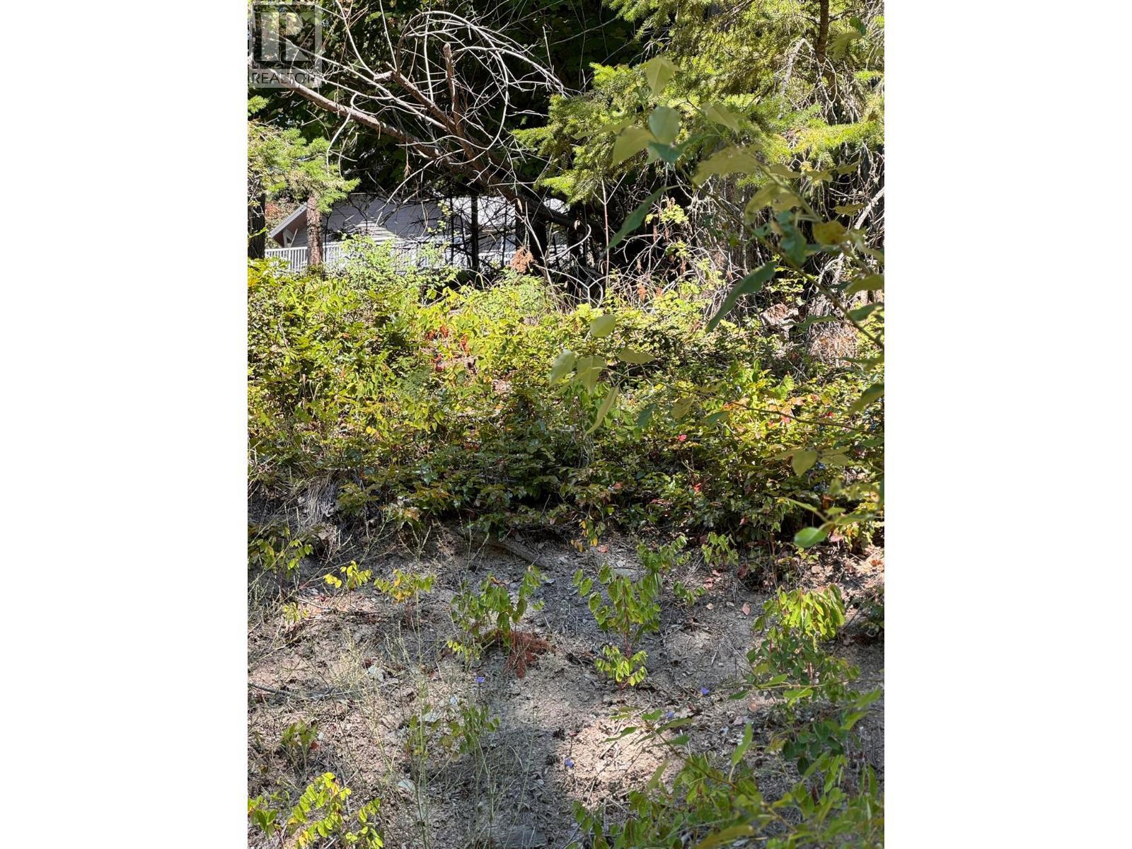 Lonneke Trail Lot# 52, Anglemont, BC