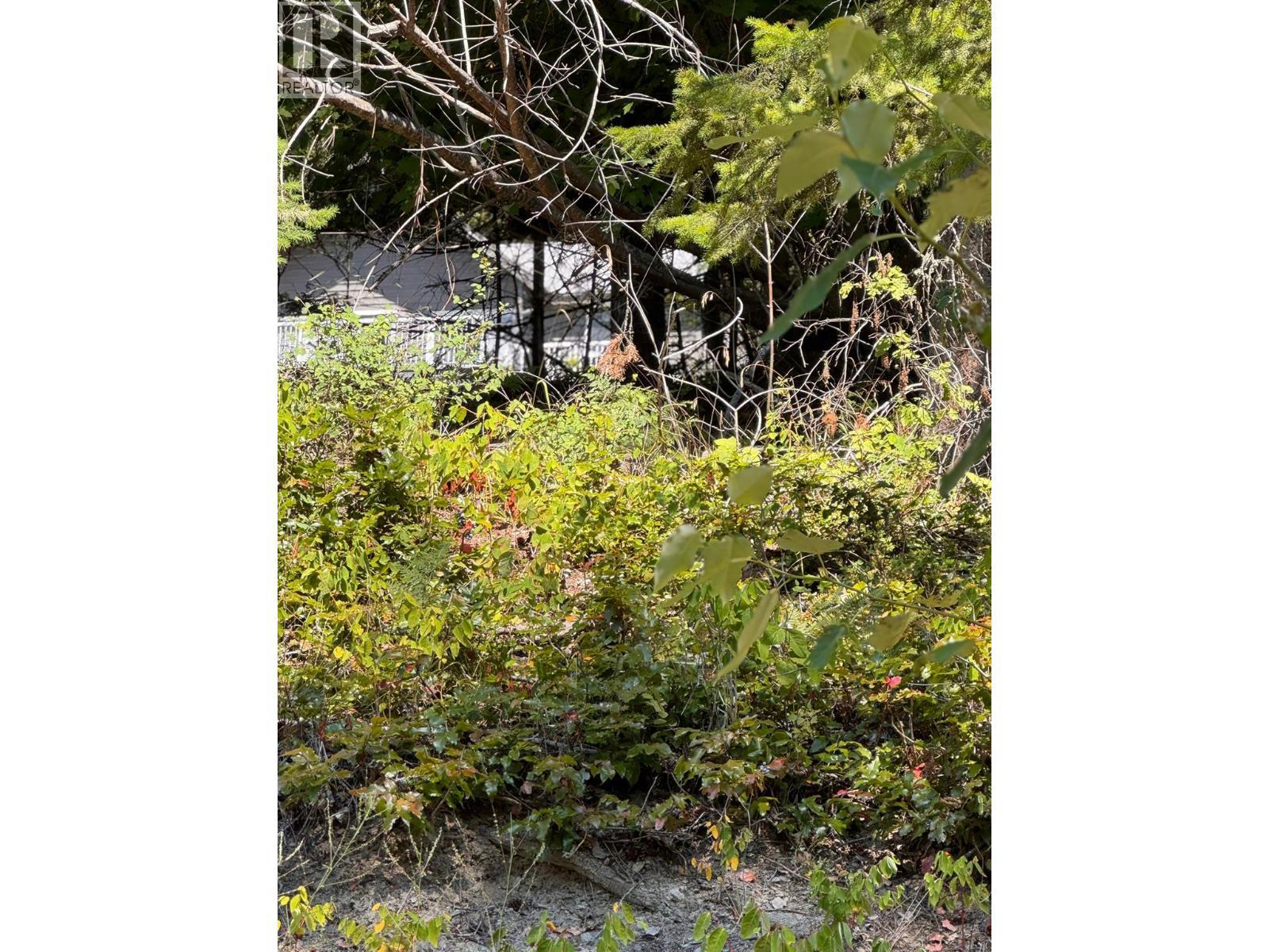 Lonneke Trail Lot# 52, Anglemont, BC