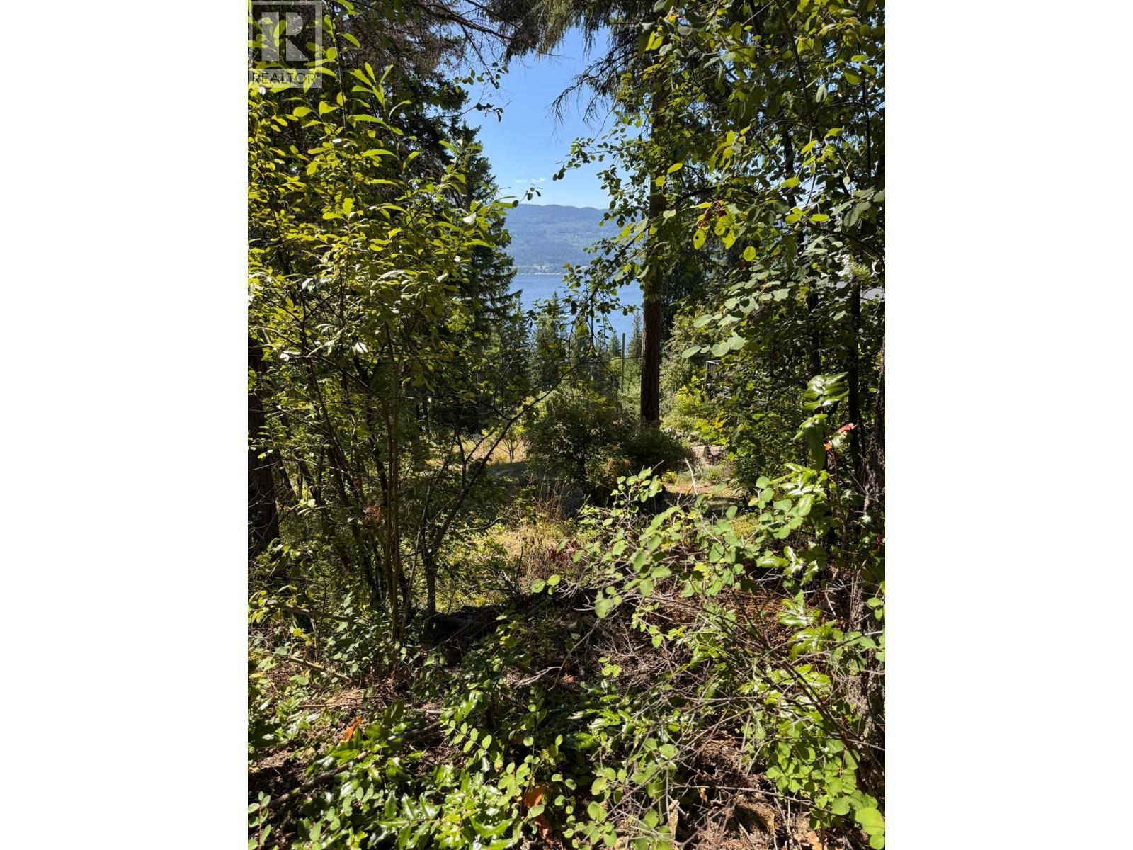 Lonneke Trail Lot# 52, Anglemont, BC