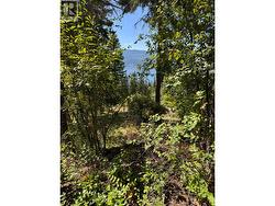 Lonneke Trail Lot# 52 Anglemont, BC V0E 1M8