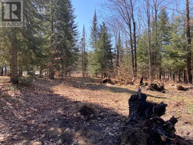 47C River Dr, Blind River, ON