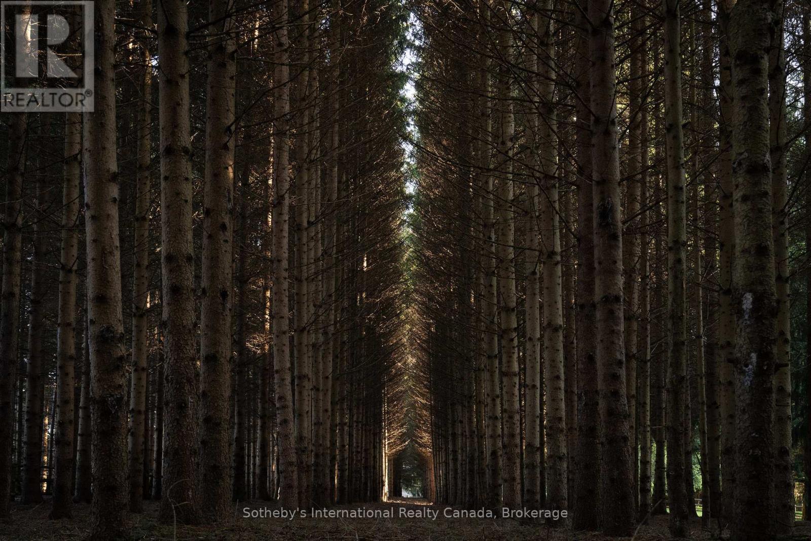 Forested trails - 12800 8Th Concession, King (Nobleton), ON