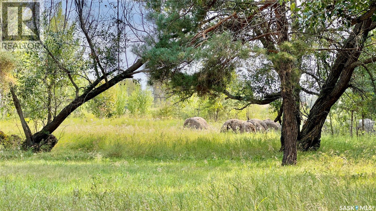 Mervin Acreage - Robinson, Mervin Rm No.499, SK - Outdoor With View