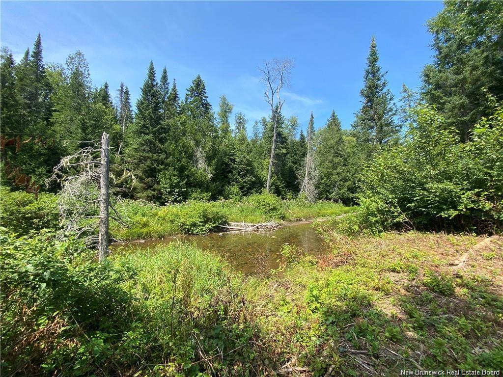 Land Archibald Rd, Belledune, NB
