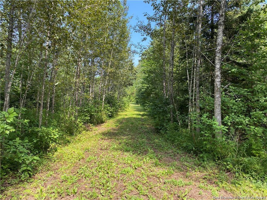 Land Archibald Rd, Belledune, NB