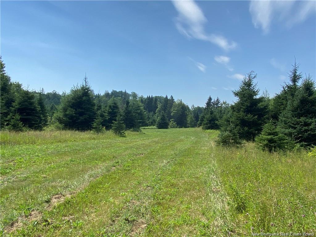 Land Archibald Rd, Belledune, NB