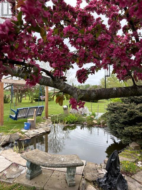 14 Poplar Street, Dutton/Dunwich (Wallacetown), ON - Outdoor