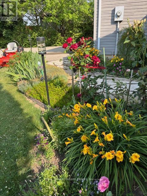 14 Poplar Street, Dutton/Dunwich (Wallacetown), ON - Outdoor