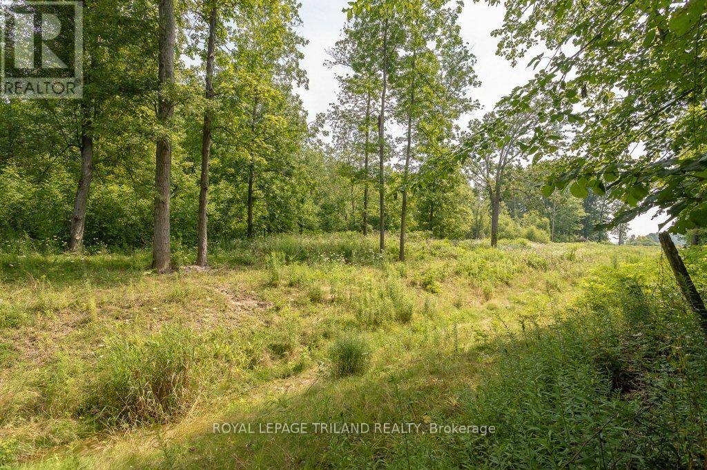 14 Poplar Street, Dutton/Dunwich (Wallacetown), ON - Outdoor With View