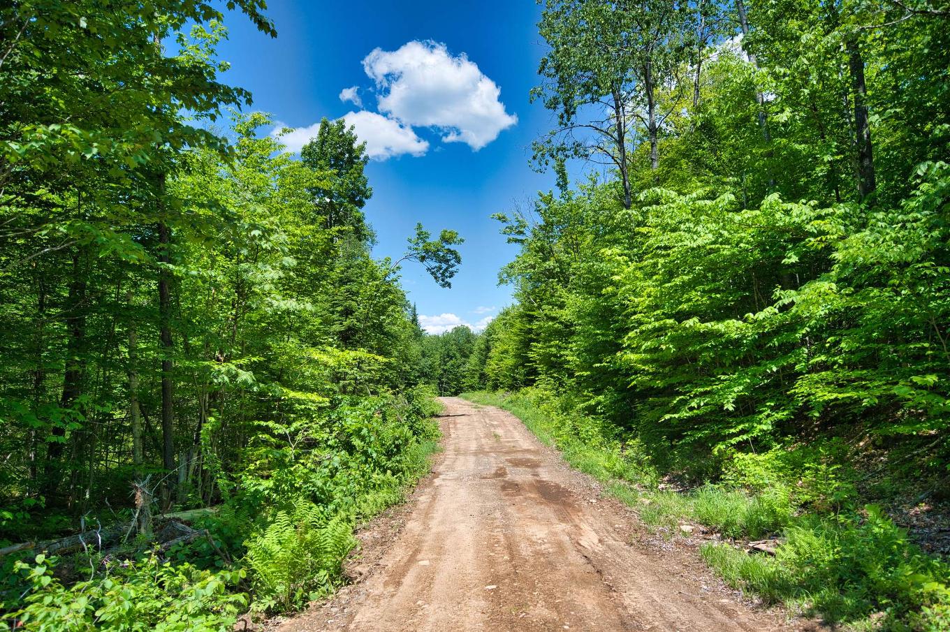 Overall view - 6305 Mtée Fugère, Labelle, QC - Outdoor