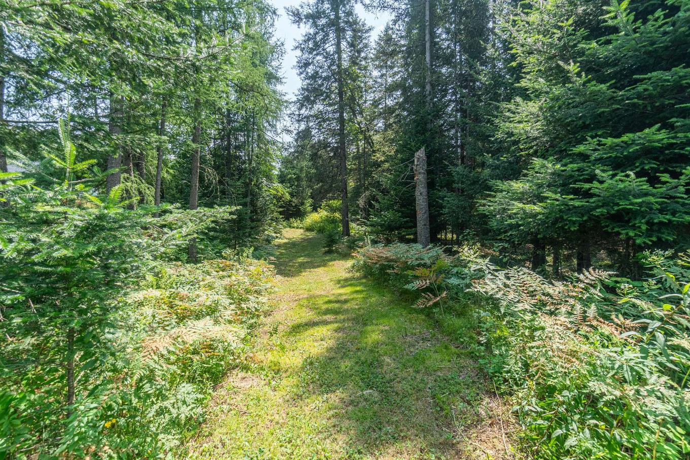 Exterior - 145 7E Rang, Mont-Tremblant, QC - Outdoor