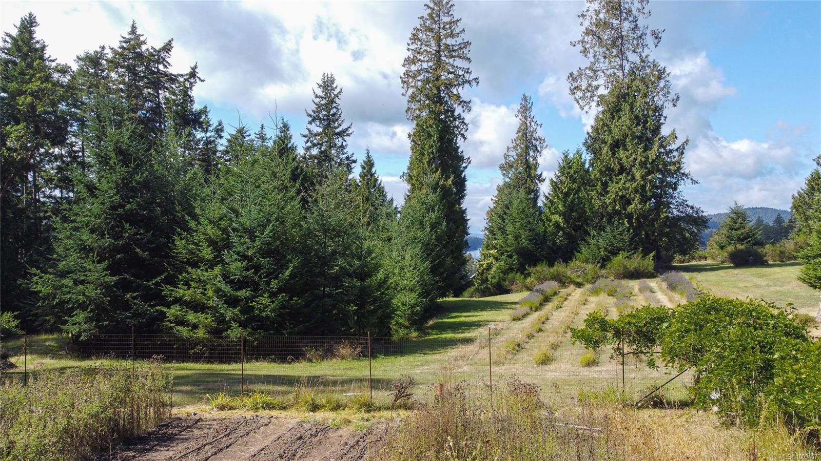 415 Campbell Bay Rd, Mayne Island, BC