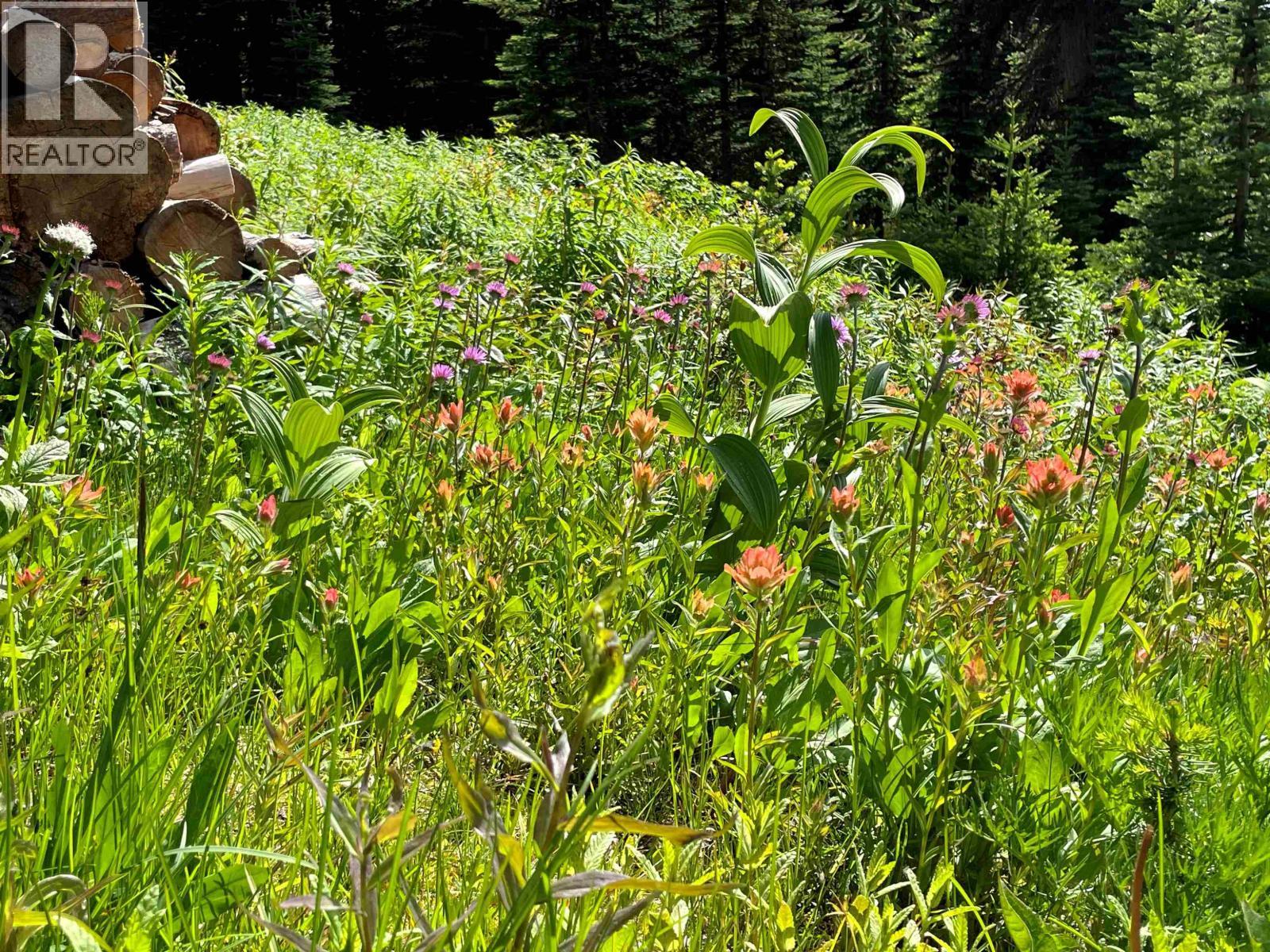 144 Prairie Road, Smithers, BC