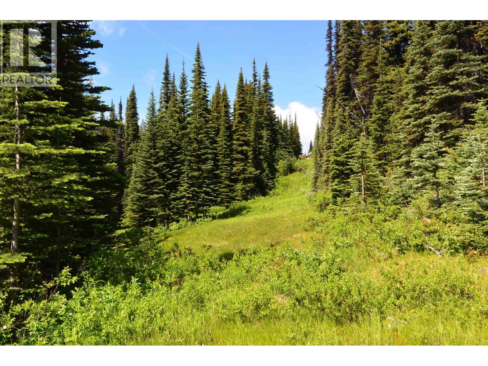 144 Prairie Road, Smithers, BC