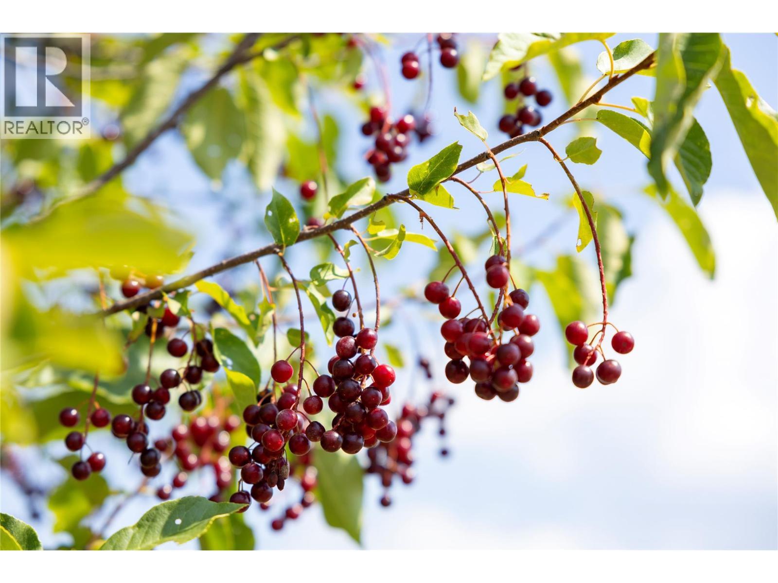 230 Mendenhall Road, Spallumcheen, BC