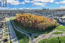 Explore the woods in new park -