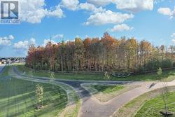 Walking trails in new city park -