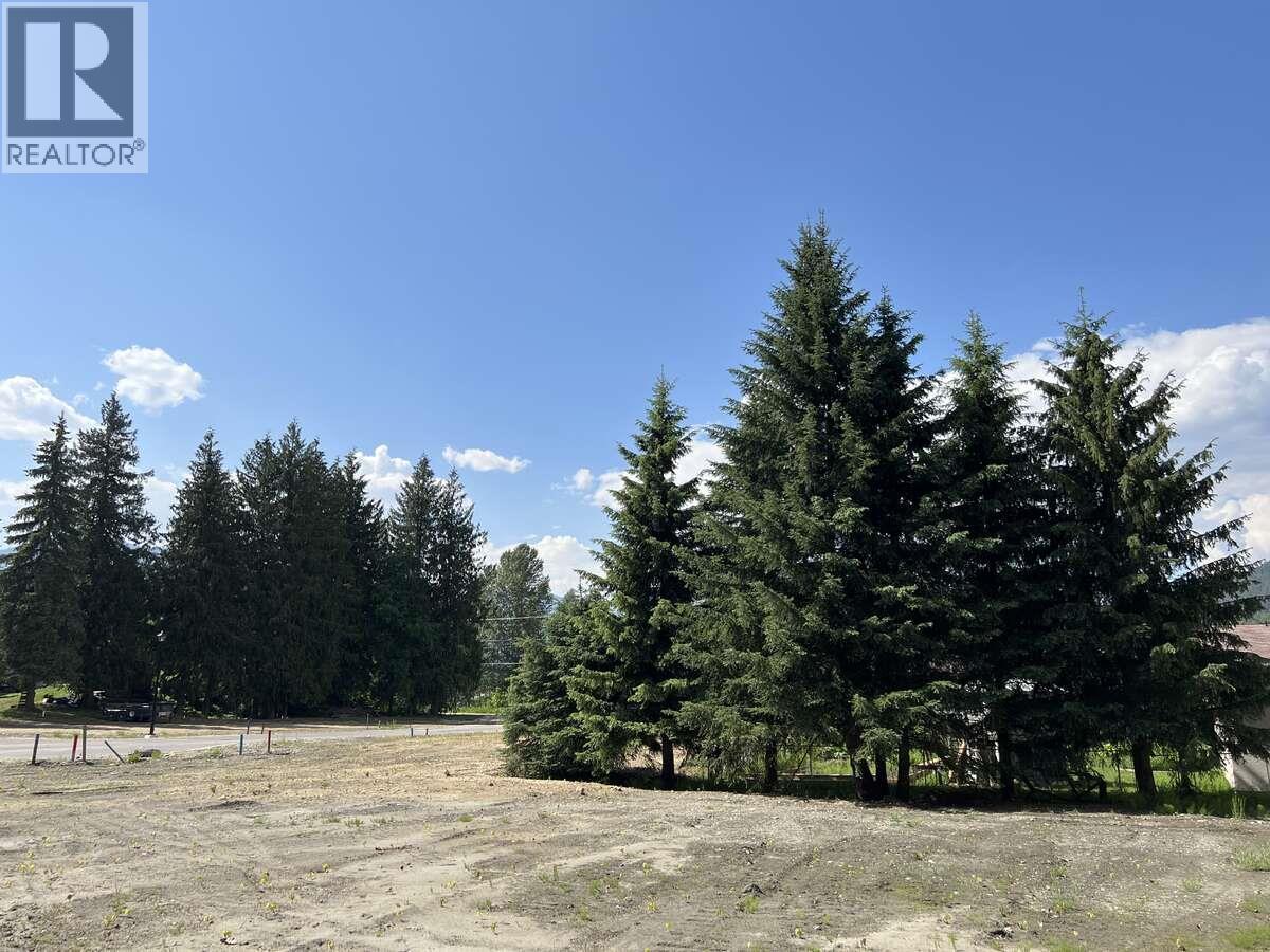 Sl 2, 4-1445 Illecillewaet Road, Revelstoke, BC