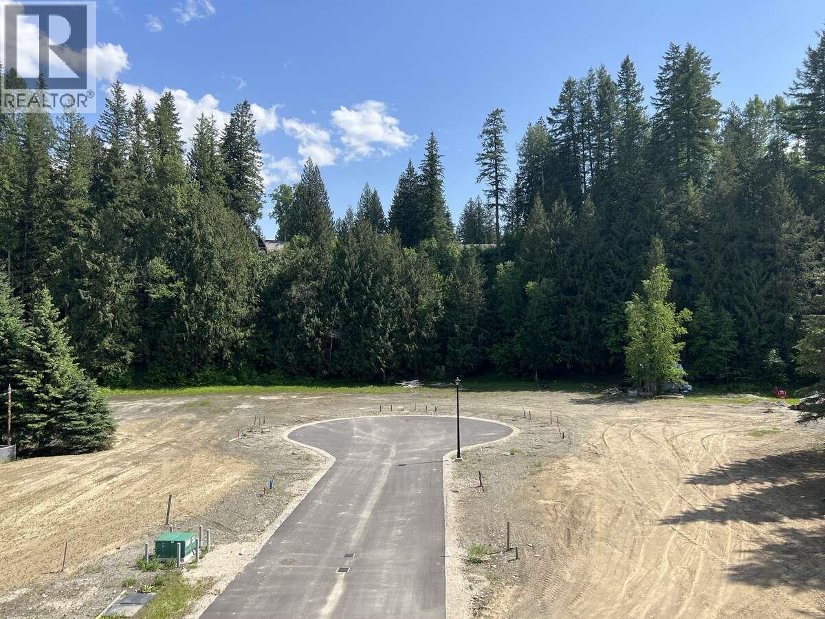 Sl 2, 4-1445 Illecillewaet Road, Revelstoke, BC