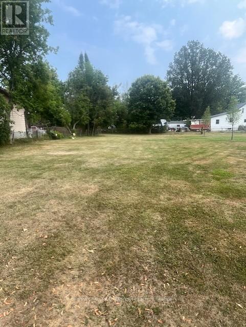 10 Alma Street N, Kawartha Lakes (Omemee), ON