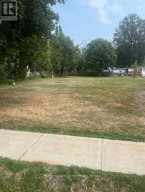 10 Alma Street N, Kawartha Lakes (Omemee), ON