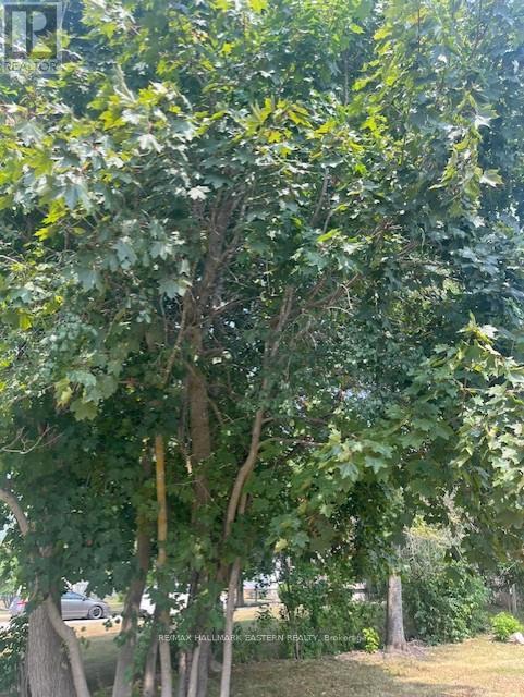 10 Alma Street N, Kawartha Lakes (Omemee), ON