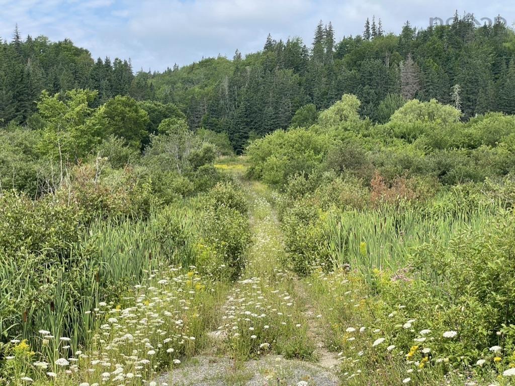 3 Lots Meagher Road, Hays River, NS
