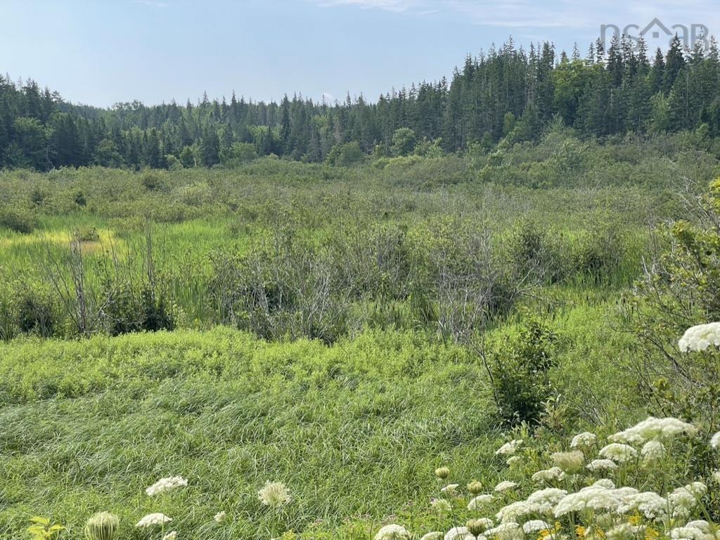 3 Lots Meagher Road, Hays River, NS
