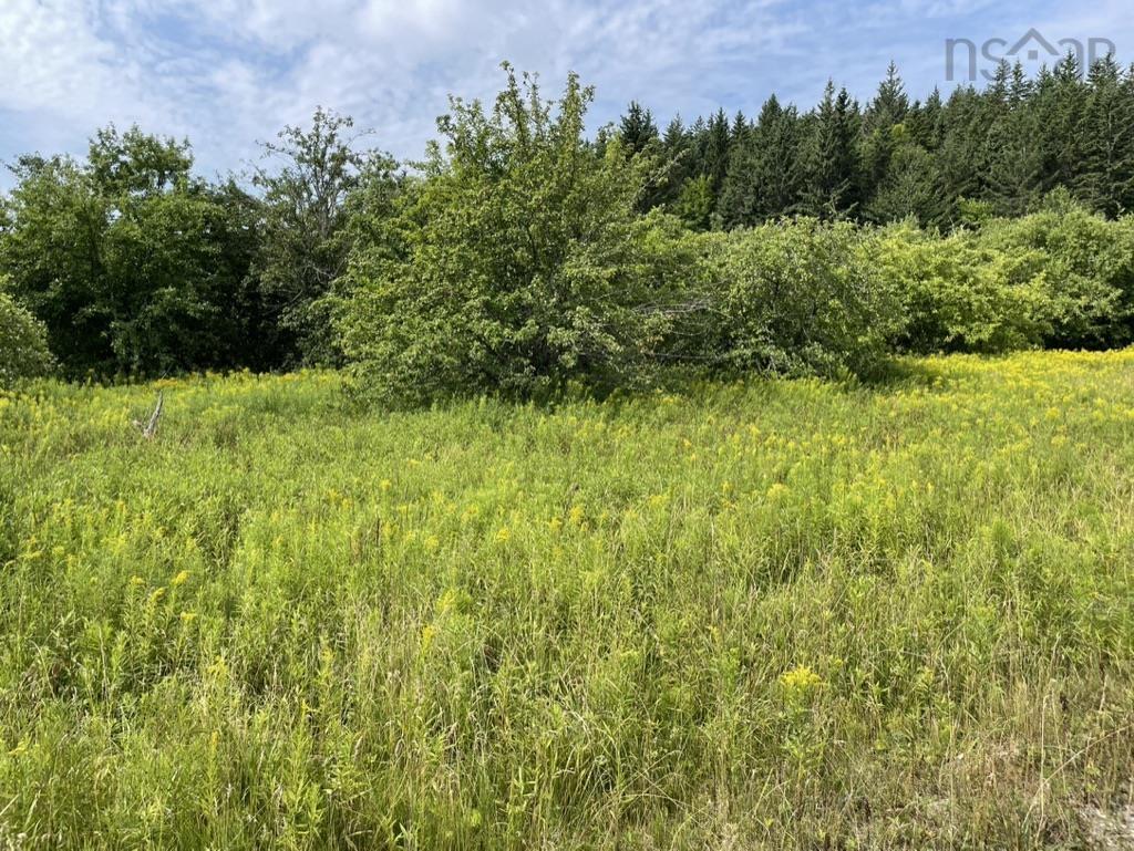 3 Lots Meagher Road, Hays River, NS