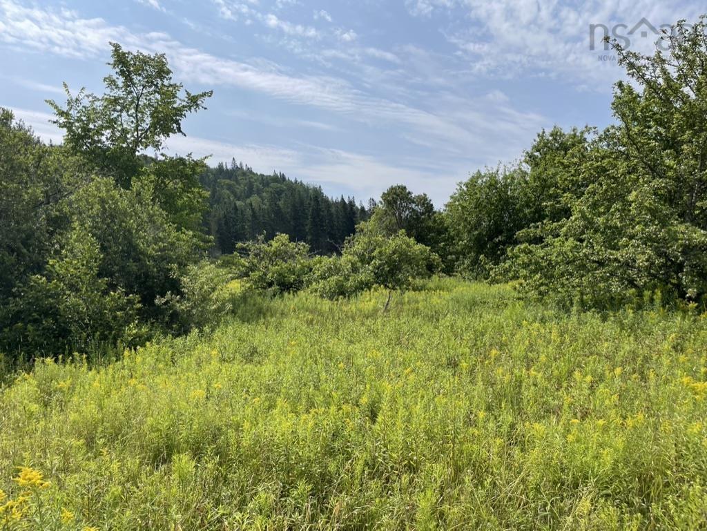 3 Lots Meagher Road, Hays River, NS